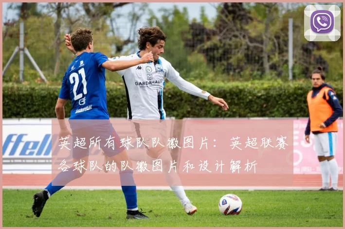 英超所有球队队徽图片：英超联赛各球队的队徽图片和设计解析