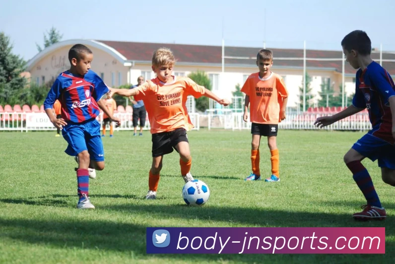 App Interface Preview